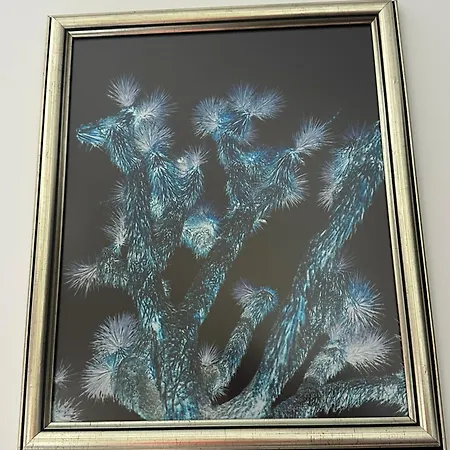 بيت ضيافة бутик ресторант брасери и релакс зона сажитариус 4*